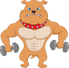 muscle bulldog with dumbbells cartoon