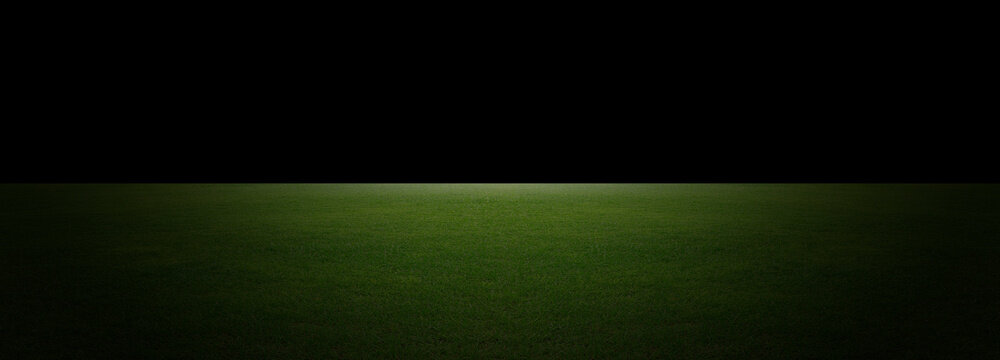 Green grass field and Empty dark landscape background for display products
