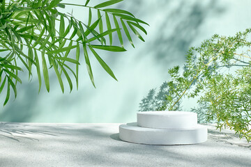 White gypsum cylinder podiums display and palm leaves on pastel light green surface for product...