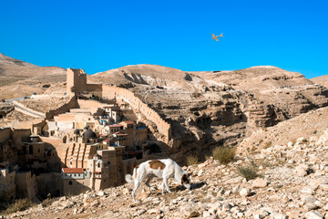 ..Mar Saba, Orthodox Greek monastery located in the Kidron Valley in the Judean Desert, on the...