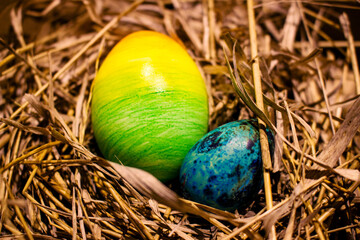 Easter eggs in the nest