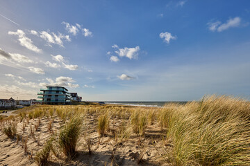 Hotels and dried plants on the beach during the winter season in Cadzand