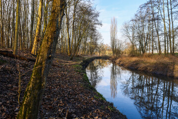 Lac du Héron, Villeneuve d'Ascq, Lille, Nord de la France