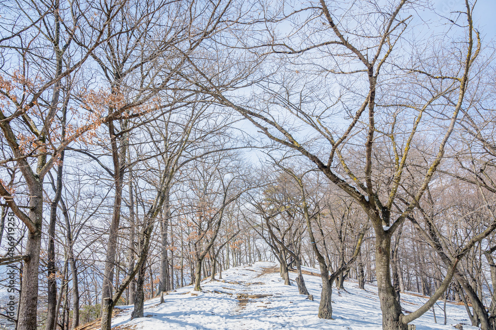 Poster 雪の弘法山古墳