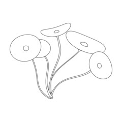 Seaweed vector icon.Outline vector icon isolated on white background seaweed.