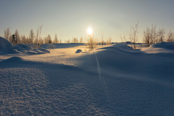 winter landscape, snow-covered desert forest-tundra in the rays of the setting sun.