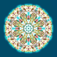 spiritual digital simetrical mandala ornament
