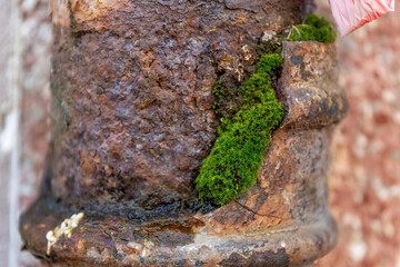 an old gutter with moss