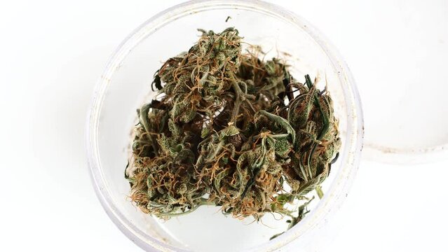 cannabis cbd oil bottle and medical marijuana hemp