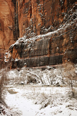 Fototapeta na wymiar Mountains, Utah, Zion, Snow, Winter 