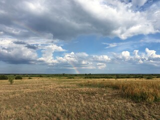 field and sky