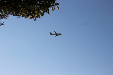 The background shows a bird and an airplane in the sky