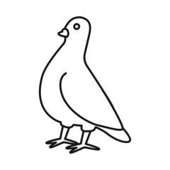 Isolated object of dove and bird symbol. Set of dove and peace stock vector illustration.