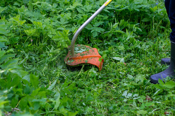 The grass is mowed with a trimmer