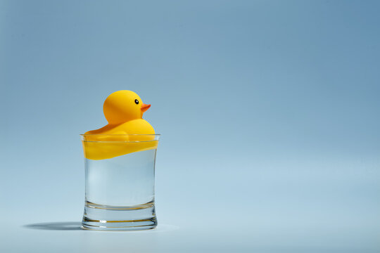 Yellow toy rubber duck floating in a glass of water.