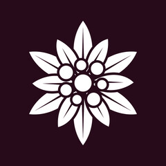 Edelweiss icon. Isolated edelweiss sign. vector illustration