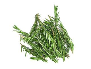 Rosemary leaves isolated on white background. Top view