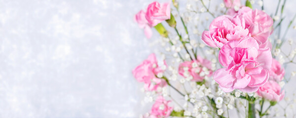 Fototapeta na wymiar Festive banner with pink carnations and gypsophila flowers on light grey backdrop. Copy space.