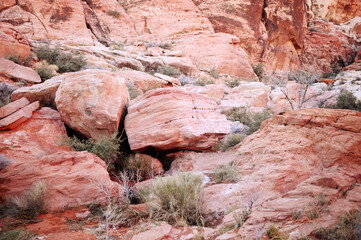 Mountains, Utah, Zion, Snow, Winter 