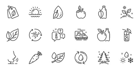Outline set of Carrot, Wind energy and Water drop line icons for web application. Talk, information, delivery truck outline icon. Include Leaf dew, Leaf, Christmas tree icons. Vector