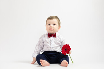 Baby Boy Flower, Kid Well Dressed in Suit, One Year Child with flower sitting over White, Children Fashion Clothing gentelmen