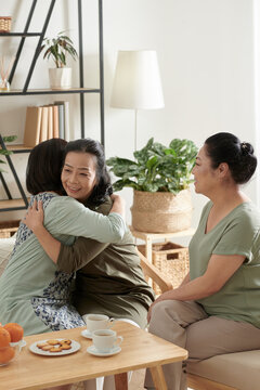 Smiling Senior Woman Hugging Her Friend To Support Her When Freinds Are Gathering At Home For Small Party