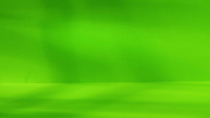 Empty green 3d studio space with deep artistic shadow