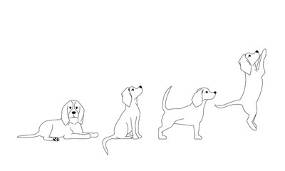 Dogs silhouette in different poses. The dog is sitting. The dog lies. The dog is standing. The dog is jumping. Beagle silhouette. Set. Vector flat illustration. Line art