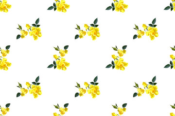 Seamless floral pattern yellow roses and rose buds on white background for fabric design, vector illustration