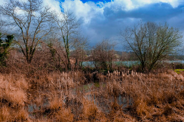 L'automne a la Gravi&egrave;re