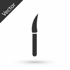 Grey Knife icon isolated on white background. Cutlery symbol. Vector Illustration