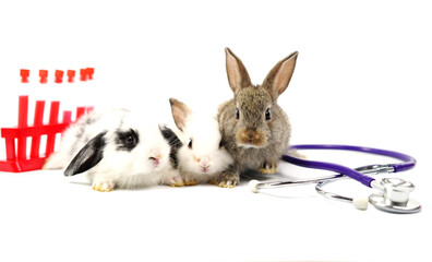 three rabbits,stethoscope and sampling tubes isolated on white background. concept rabbits sick, experimental rabbit, animal health care etc