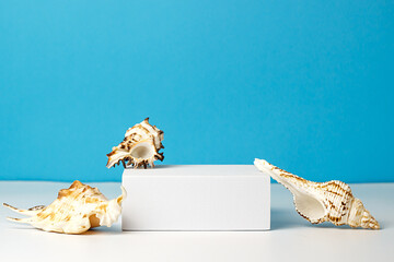 White podium on a blue background with seashells. Pedestal, base, for products and cosmetics. Nautical and summer concept