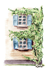 Corner of rural house with climbing Ivy  plant, Hand drawn watercolor illustration isolated on white background