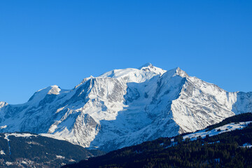 Forests and Mont Blanc massif in Europe, France, Rhone Alpes, Savoie, Alps, in winter on a sunny day.