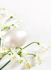 Easter holiday. Flowers are snowdrops and a light pearl Easter egg. pearl dyed egg. On a light wooden background. white on white