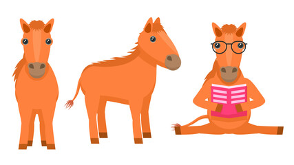 Set Abstract Collection Flat Cartoon Different Animal Horses Stand, Reading Book In Spectacled Vector Design Style Elements Fauna Wildlife