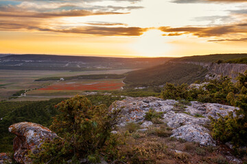 Beautiful large red poppy field in the mountains