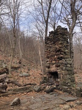 Old Stone Chimney in the Woods