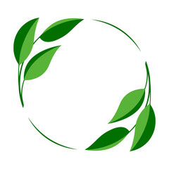 Botanical wreath of green branches and leaves. Circle foliage frame for monogram, decoration. Green laurel leaves in round composition. Minimalist vector herbal illustration on white background.