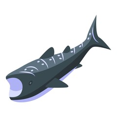 Whale shark animal icon isometric vector. Fish sea. Aquarium species