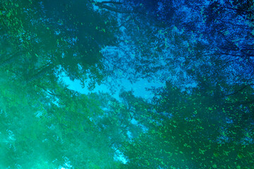 Fototapeta na wymiar 青と緑の水鏡に映る木々のシルエット