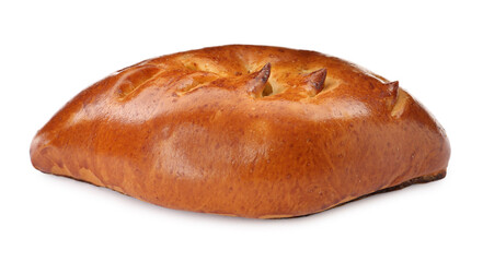 One delicious baked patty on white background