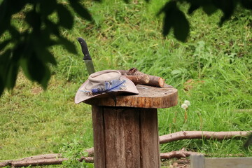Kapelusz i nóż na pniu. A hat and a knife on the stump.