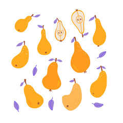 Big set with pear and pears slices with leaves. Hand drawn elements fruits core and half of pear. Flat vector illustratoins collection.