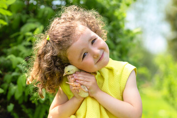 portrait of cute little girl with yellow chicken on hands on green grass outdoors. happy easter kids concept. spring child holiday