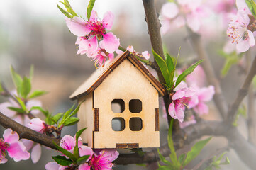 Miniature house on flowering branch close-up and copy space. Wooden house and flowers as postcard for holiday. Beginning of spring..
