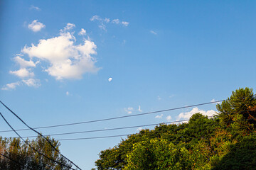 Lua durante a tarde