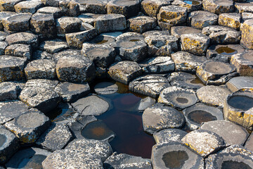 The Giant causeway 
