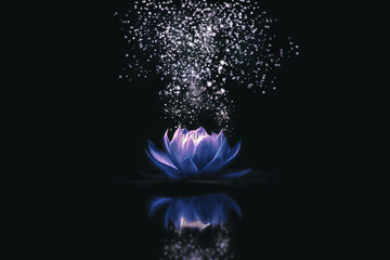 Blue lotus flower on dark background - Powered by Adobe